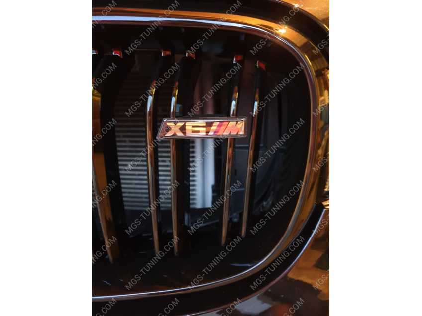 Решётка радиатора в стиле X6M