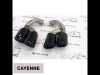 Embedded thumbnail for Насадки для Porsche Cayenne 14-17 Vector двойные круглые черные