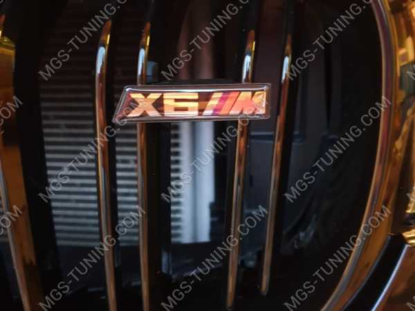 Решётка радиатора в стиле X6M