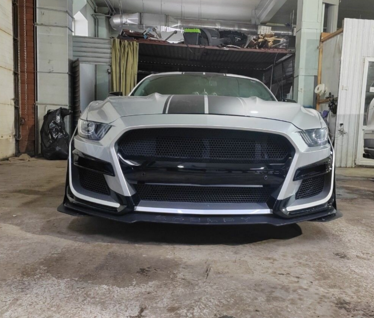 Бампер и Крылья на Ford Mustang