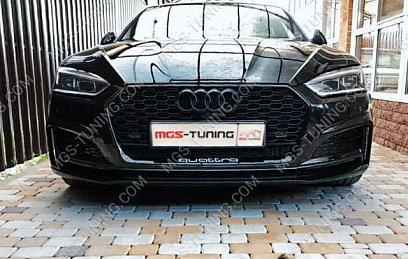 Решетка в стиле Audi RS5