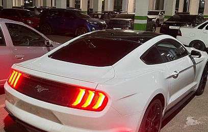 Задние боковые катафоты Ford Mustang 14-17 н.в.
